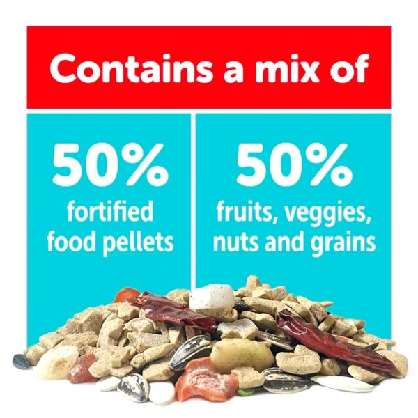 3-D Pet Products Natural Premium Parrot Food, with Fortified Pellets, 3 lbs - immagine 2