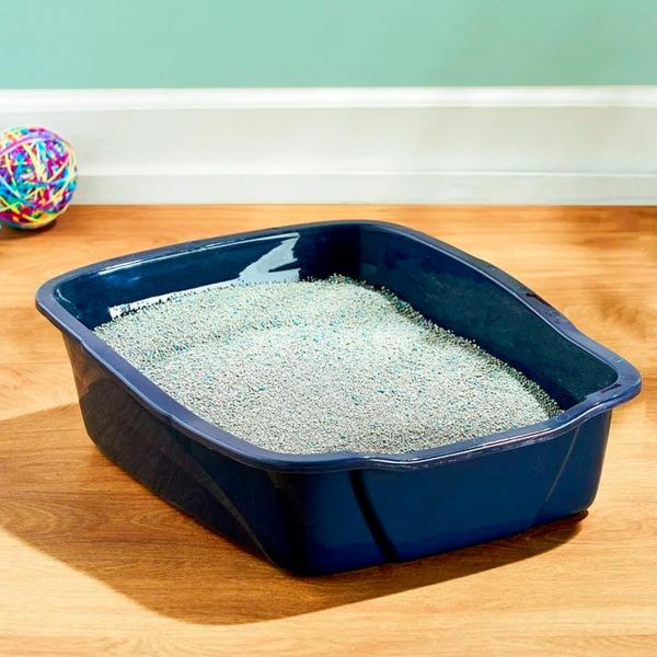 Vibrant Life Large Cat Litter Box - immagine 2